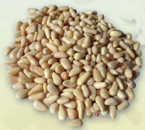 Pinenut  kernel